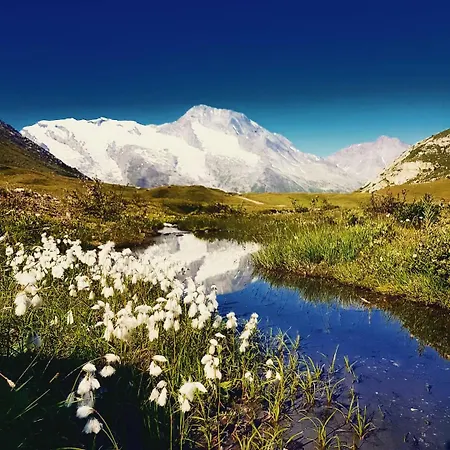 Le Franier Splendide En Montagne - 12pers Sainte-Foy-Tarentaise