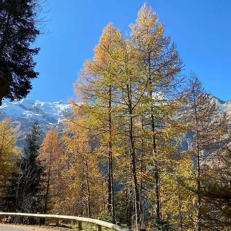Le Franier Splendide En Montagne - 12pers *